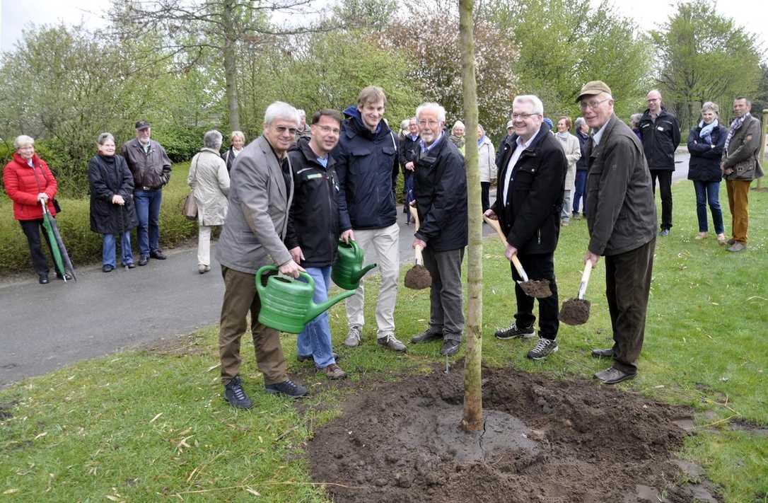 „Baum des Jahres“ und Baum für die Zukunft: die Echte Mehlbeere