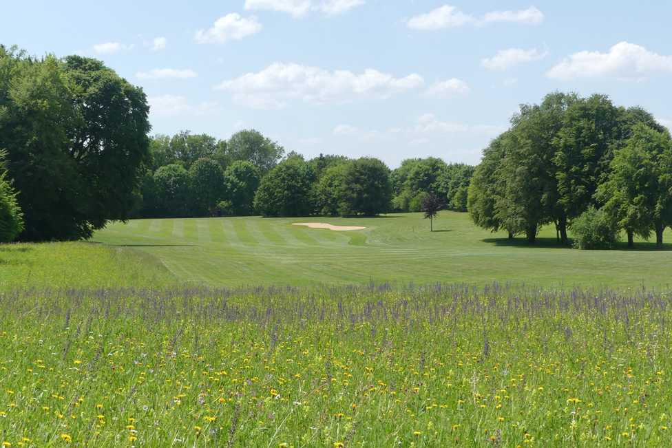 Golfanlagen mit Blühwiesen ökologisch aufwerten