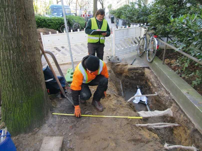 Beim Umgang mit Baumwurzeln sind Feingefühl und Sachverstand gefragt. Werden in Hamburg neben Straßenbäumen Tiefbauarbeiten durchgeführt, müssen diese gemäß Baumschutzverordnung von Baumpflegern begleitet werden. | Foto: Foto: Baumpflege Bollmann