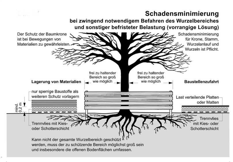 Schadensminimierung bei zwingend notwendigem Befahren des Wurzelbereiches und sonstiger befristeter Belastung (aus: R SBB 2023). Wenn nicht der gesamte Wurzelbereich geschützt werden kann, sollte so viel wie möglich durch einen ortsfesten Zaun geschützt werden. | Foto: FGSV