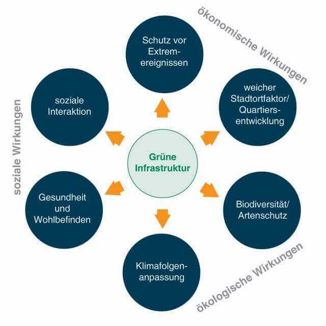 Übersicht über Wirkungsbereiche grüner Infrastruktur. | Grafik: ILS-Darstellung in Anlehnung an Scholz 2014.