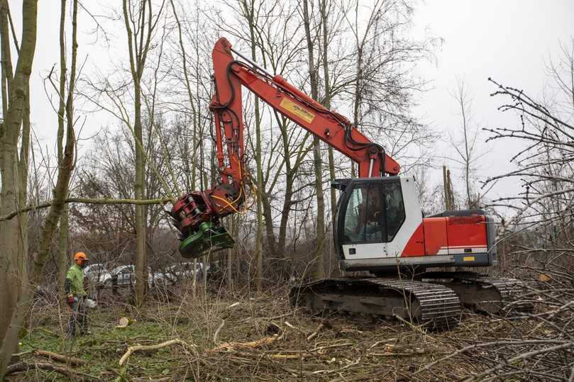 Von Forstwirtschaft, über Landschaftspflege bis hin zur Holzvermarktung erstreckt sich das breite Einsatzspektrum des Familienunternehmens Boers. | Foto: Fleet Complete