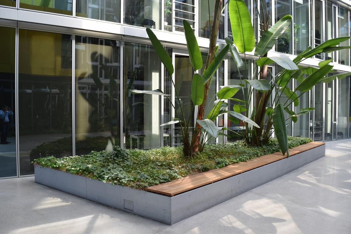 Innenräume können auch in Form von Pflanzbeeten dauerhaft begrünt werden. | Foto: Bundesverband GebäudeGrün