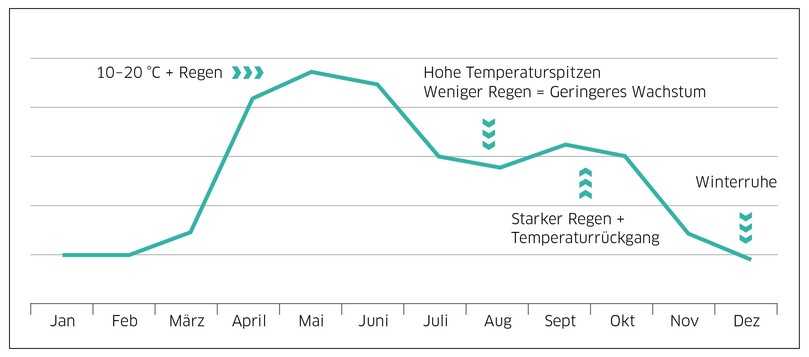 Aus der natürlichen Wachstumskurve der Pflanzen leitet sich die Häufigkeit der Maßnahmen zur Unkrautbeseitigung ab. Unabhängig von diesen Durchschnittswerten sind mittlere Temperaturen und genügend Regen ideal für das Unkrautwachstum. | Foto: Kärcher Aus der natürlichen Wachstumskurve der Pflanzen leitet sich die Häufigkeit der Maßnahmen zur Unkrautbeseitigung ab. Unabhängig von diesen Durchschnittswerten sind mittlere Temperaturen und genügend Regen ideal für das Unkrautwachstum. | Foto: Kärcher