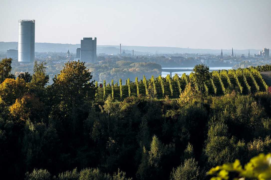 Kanalbau in Hanglagen: Hydrologische Probleme mit Flüssigboden bewältigen?