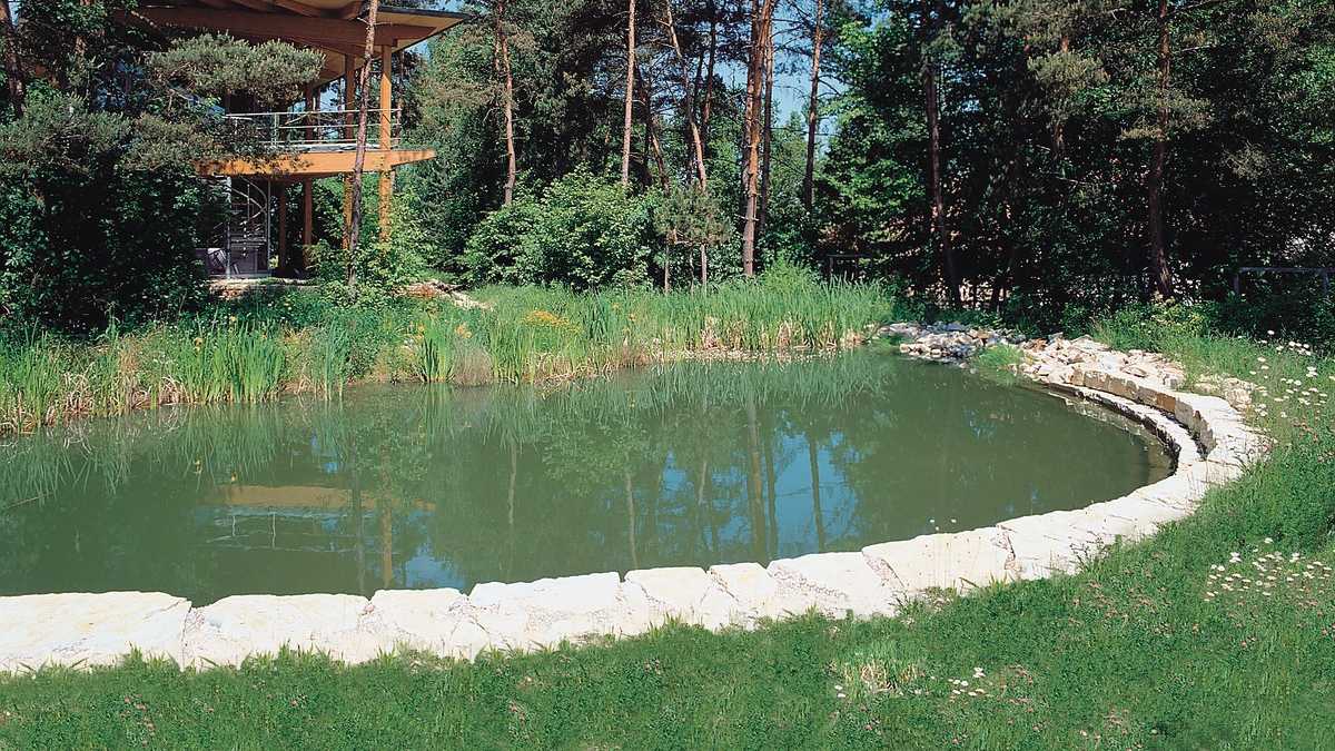 50+ Belüftungssteine Teich, Die steine sind sehr feinporig für eine