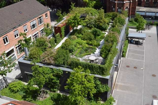 Dachgärten lassen sich intensiv oder extensiv begrünen. | Foto: BuGG