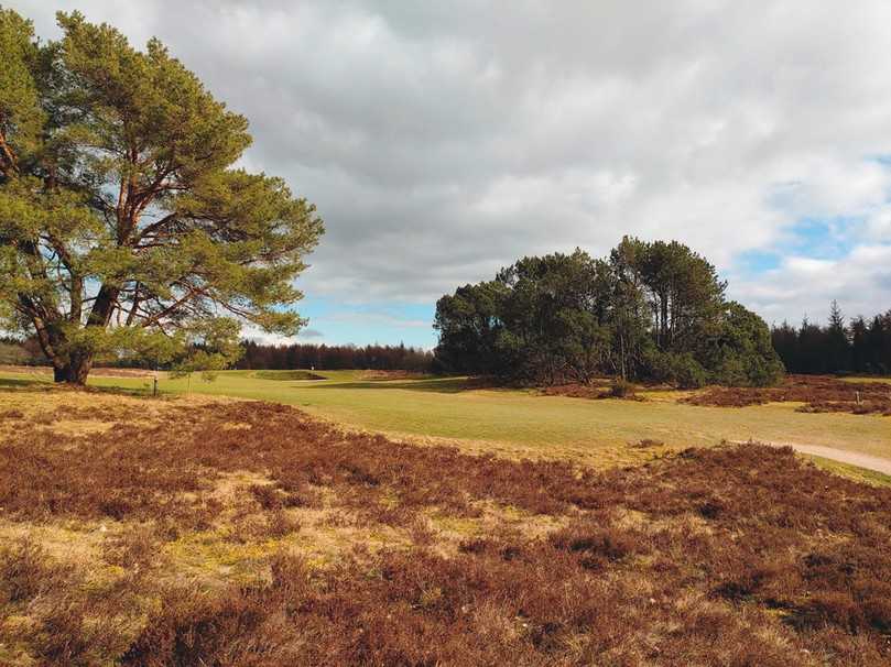 Im GC Lohersand in Schleswig-Holstein wurden bei der Erweiterung der Anlage   Heideflächen angelegt. | Foto: Petra Himmel