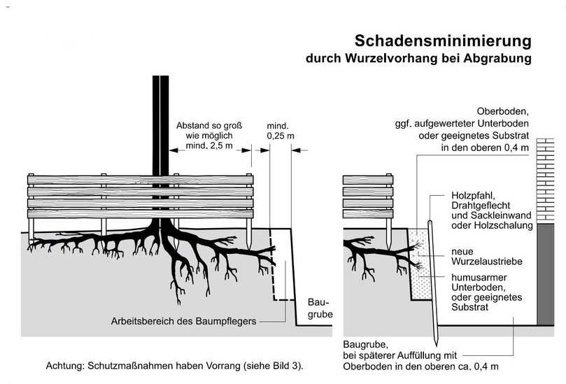 Schadensminimierung durch den Bau eines Wurzelvorhangs, der so weit wie möglich entfernt vom Stamm installiert werden sollte (aus R SBB 2023) | Foto: FGSV