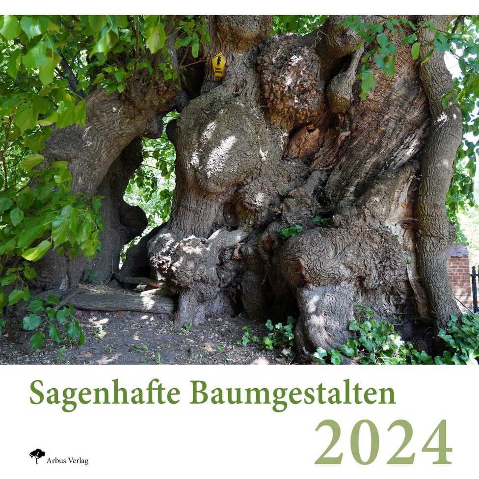 Schöne Kalender von Peter Klug mit den schönsten und ältesten Bäumen Deutschlands