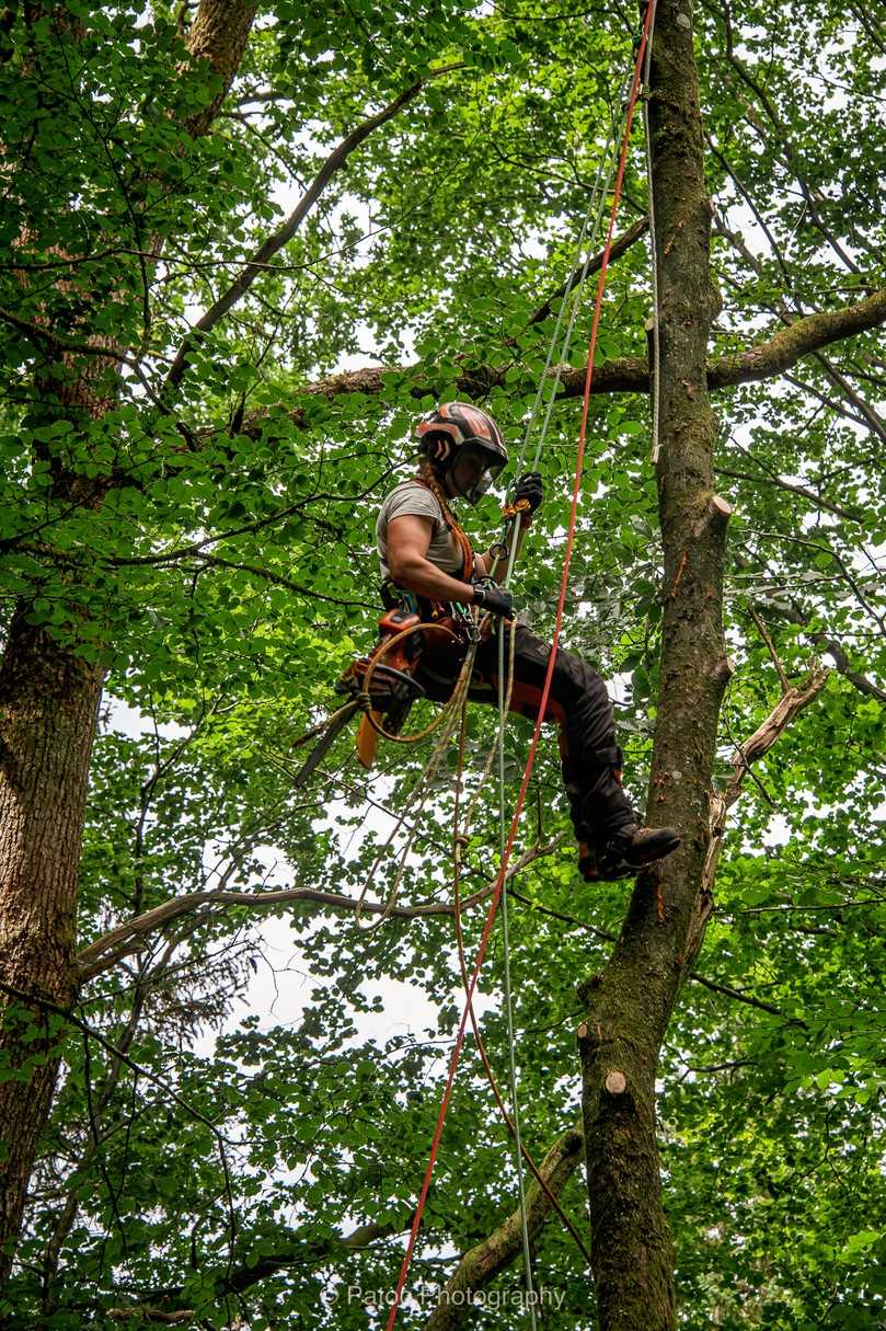 Die anspruchsvolle Arbeit in schwindelerregender Höhe liegt der Baumkletterin. | Foto: Husqvarna