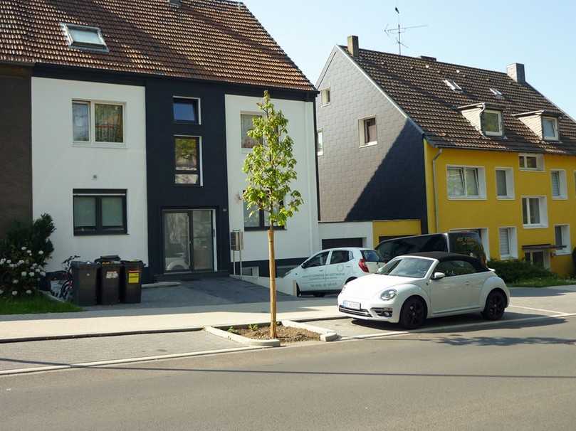 Läuft streusalzbelastetes Wasser in Baumstandorte ein, kann ein Baum dadurch schwere Schäden nehmen und der Standort zu einem Sanierungsfall werden. | Foto: Streckenbach