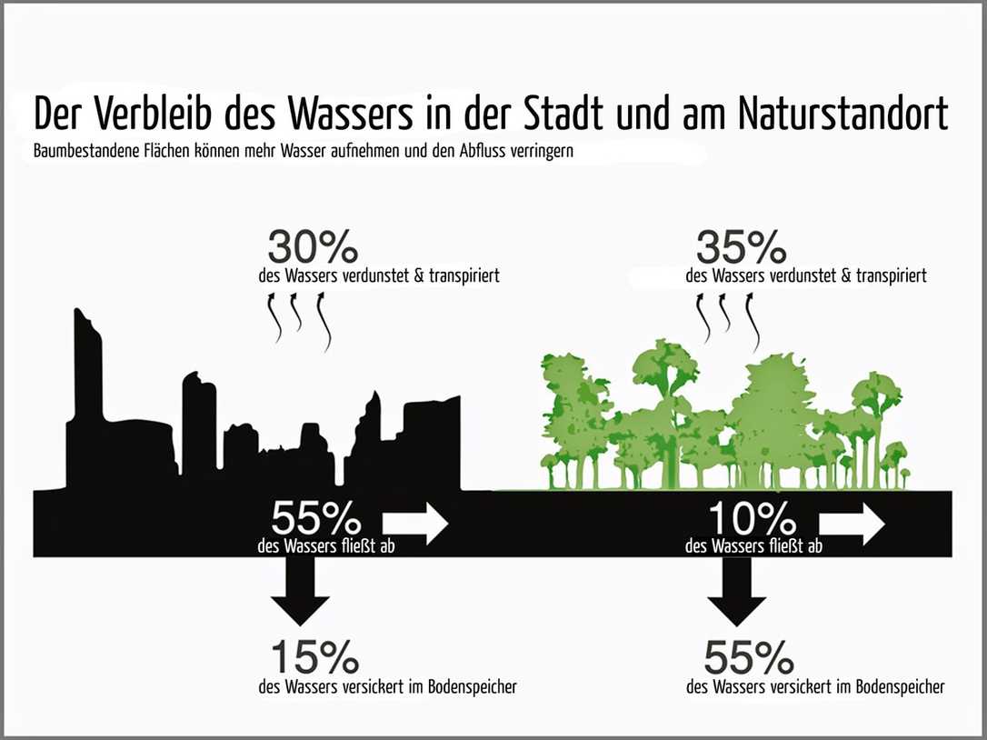 Wasser muss zum Baum - und dann?