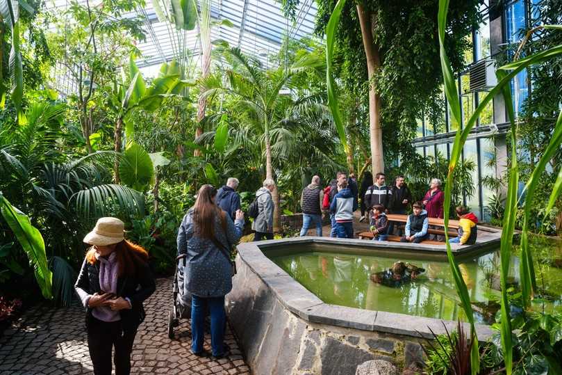 Besucher im Pflanzenschauhaus Luisenpark. | Foto: BUGA 23/Andreas Henn