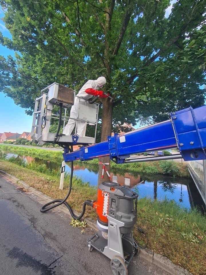 Je nach Witterung ist es ab April bis in den Juni hinein wieder so weit: Die Raupen des Eichenprozessionsspinners können in Massen auftreten und aufgrund ihrer Brennhaare die Gesundheit von Menschen beeinträchtigen. | Foto: Husqvarna Construction