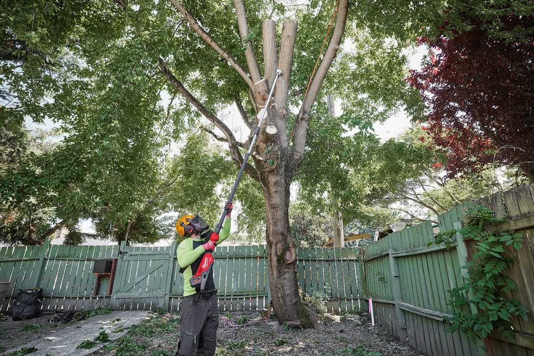 18-Volt Akku-Teleskop-Astsäge von Milwaukee