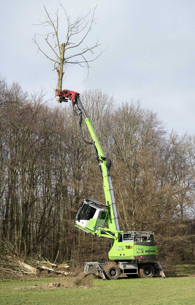 Die Einsatzmöglichkeiten des Fällbaggers decken eine breite Palette ab: Ob Böschungspflege, Freischneiden von Straßen und Forstwegen, Aufarbeitung von Sturmholz und befallenen Hölzern, Problembaumfällung oder Baumpflege. | Foto: SENNEBOGEN Maschinenfabrik GmbH