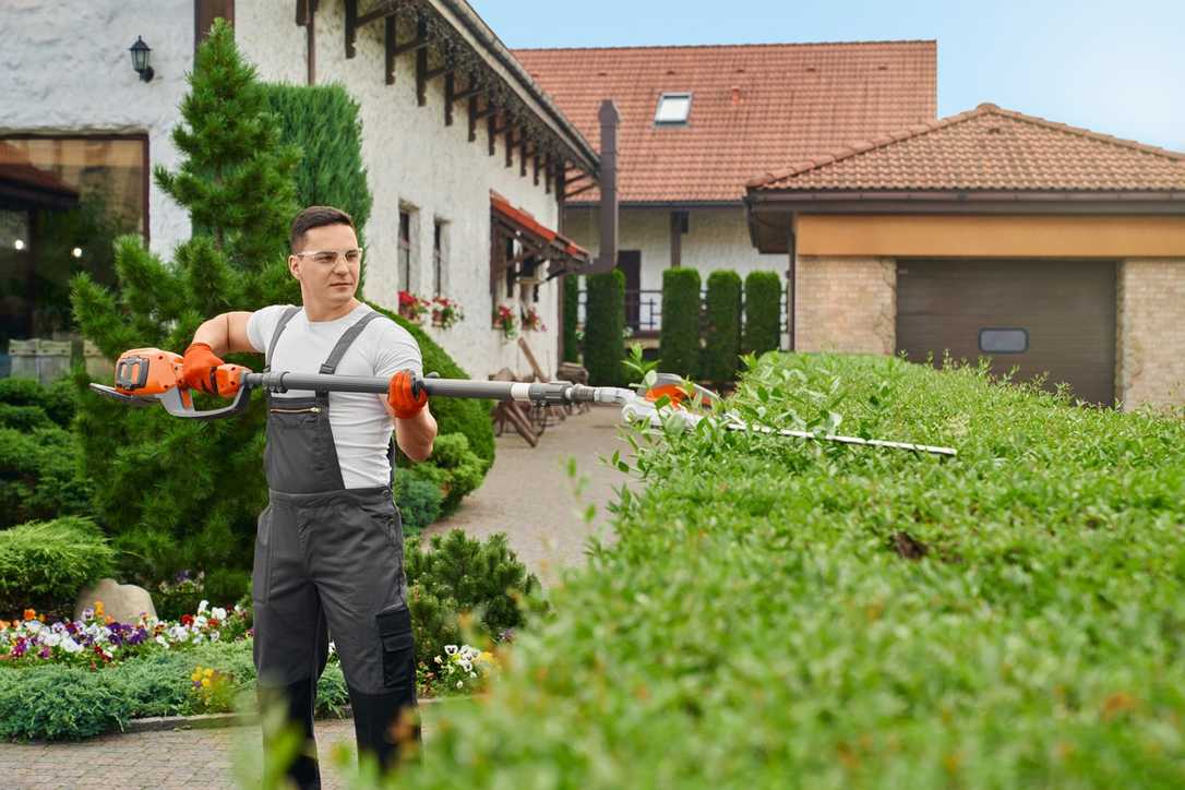 Azubi-Zahlen im Garten- und Landschaftsbau steigen