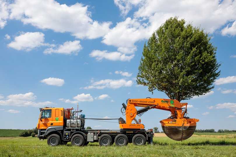 Im Jahr kommt die Firma Opitz auf 1.500 bis 2.500 Großbaumverpflanzungen. | Foto: Jan Potente