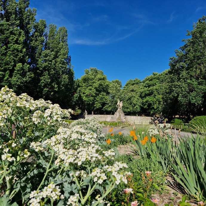 Heimische Wildstauden am Rüdesheimer Platz | Foto: Bezirksamt Charlottenburg-Wilmersdorf