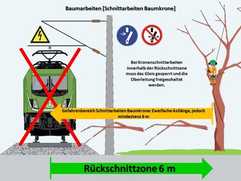 So lassen sich Unfälle bei Vegetationsarbeiten vermeiden