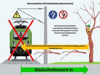 So lassen sich Unfälle bei Vegetationsarbeiten vermeiden