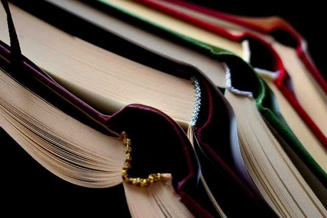 Die drei Verordnungsentwürfe regeln nicht, welche Tariflöhne in einzelnen Branchen gelten, sondern schaffen das institutionelle Kontroll- und Nachweissystem aus paritätischer Clearingstelle, behördlicher Prüfstelle und standardisiertem Zertifizierungsverfahren. | Foto: günter / Pixabay
