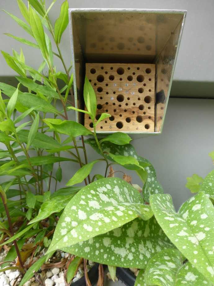 Bewohnte Nisthilfe für Wildbienen. | Foto: LWG