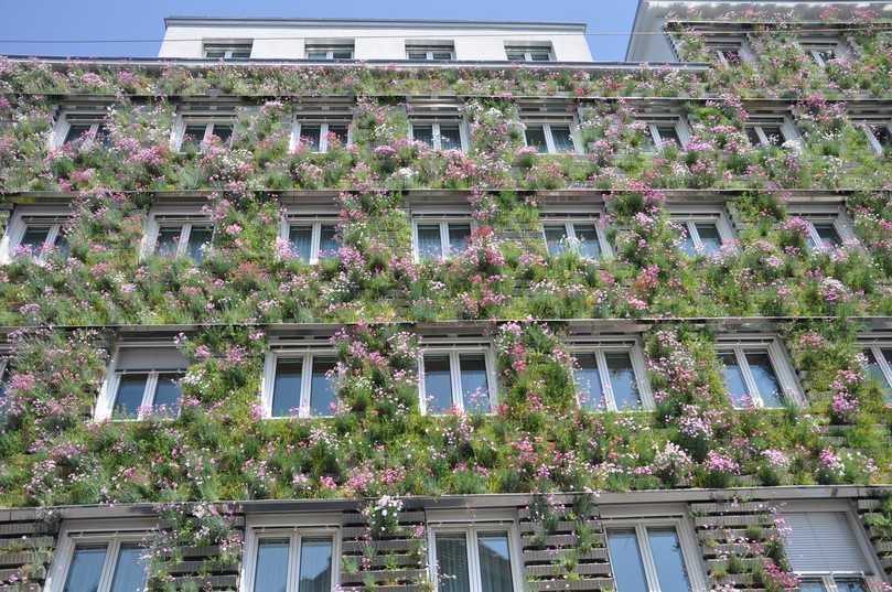 Die sommerliche Verdunstungsleistung der ca. 850 m2 großen Fassadenbegrünung des Magistrats 48 in Wien entspricht einer Kühlleistung von 79 Klimageräten (je 3000 W, 8 Stunden Betrieb). | Foto: Green4Cities GmbH