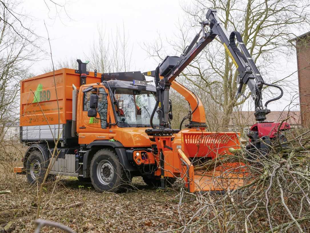 "Das Biest": Bremer Baumdienst setzt auf geländegängigen Unimog