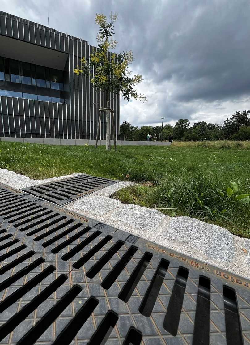 Gereinigtes Regenwasser für gesundes Stadtgrün | Foto: Hauraton Gereinigtes Regenwasser für gesundes Stadtgrün | Foto: Hauraton