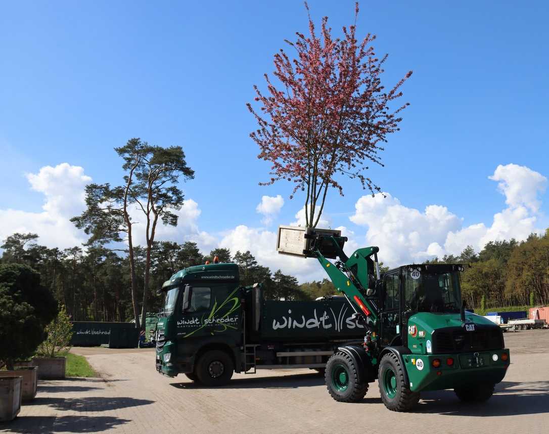 Neues Trio an Cat Radladern 908 hält bei dem Galabauer Windt & Schröder Einzug