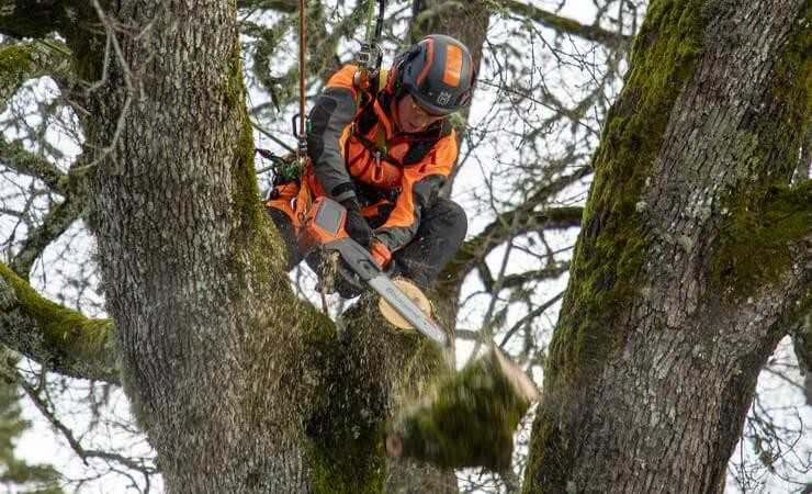 Husqvarna: Neue Akku-Kettensägen für Baumpfleger