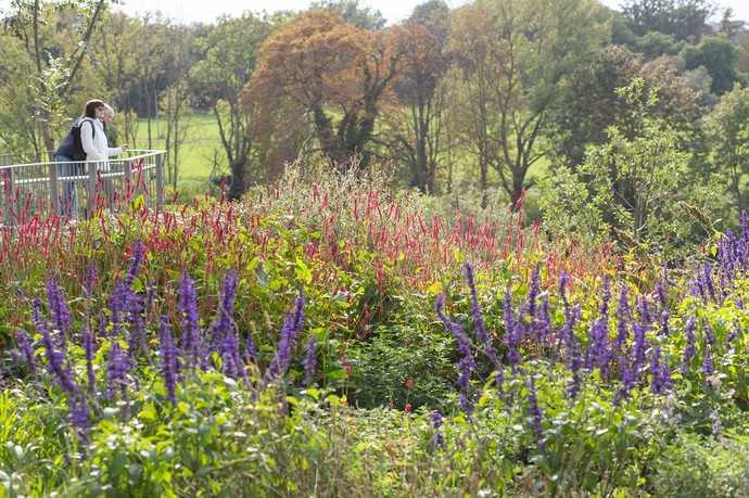 So viel farbenfrohe Natur im Garten: Endspurt auf der Landesgartenschau in Bad Dürrenberg. | Foto: Landesgartenschau Bad Dürrenberg