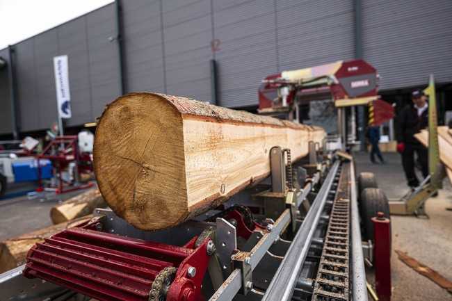 Alles rund ums Holz: Auf der Messe gibt es wieder diverse Maschinen zu entdecken. | Foto: Marko Scheerschmidt