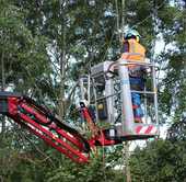 Vom Klettern zur Arbeitsbühne: Baumpflege mit neuer Arbeitsbühne