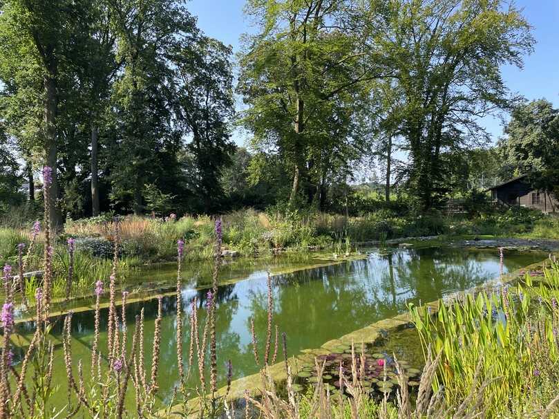 Den 2. Platz Umbauten & Sanierung belegt Klute Garten- und Landschaftsbau. | Foto: Klute