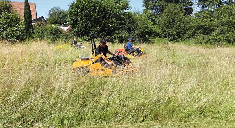 Dynamisch durchs hohe Gras: Alle drei Modelle meisterten den Test-Parcours mit Bravour. | Foto: E. & S. Bauer