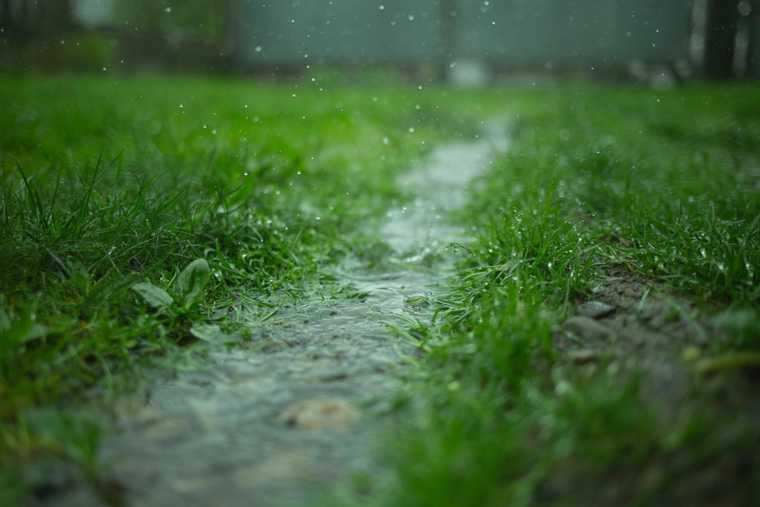 Regenwassermanagement im Garten- und Landschaftsbau