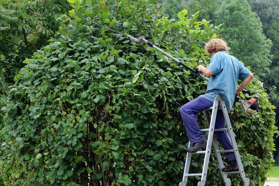 BGL-Konjunkturumfrage Herbst 2021: Starke Auslastung und Optimismus im GaLaBau