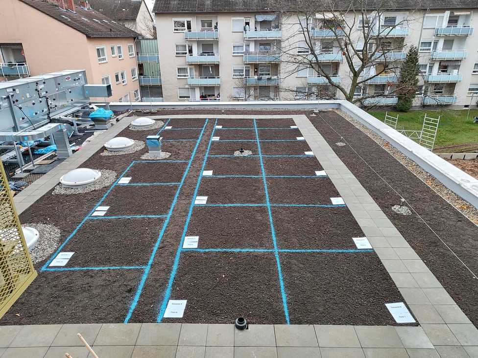 Das erste Klimadach in Hessen wurde mit Klimafarmer erstellt