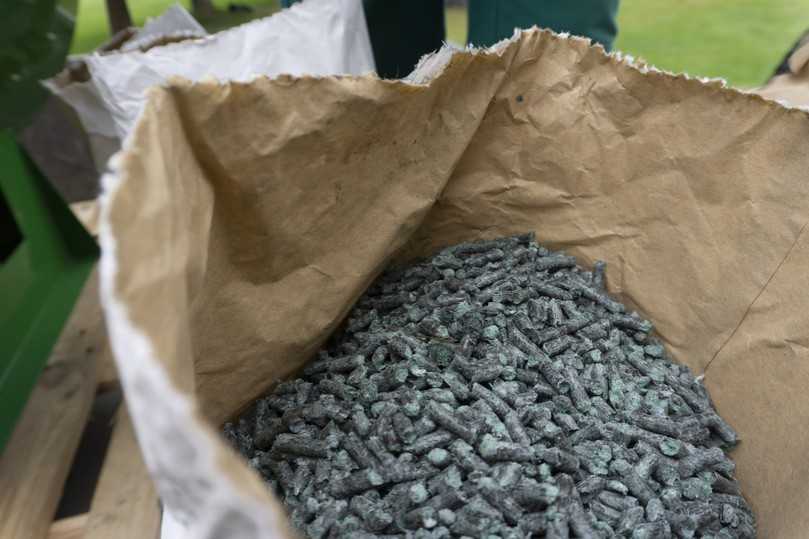 Die biozertifizierten Pellets beinhalten wichtige Grundkomponenten wie Mulch, Haftkleber, Dünger und Lebensmittelfarbe. | Foto: IGG