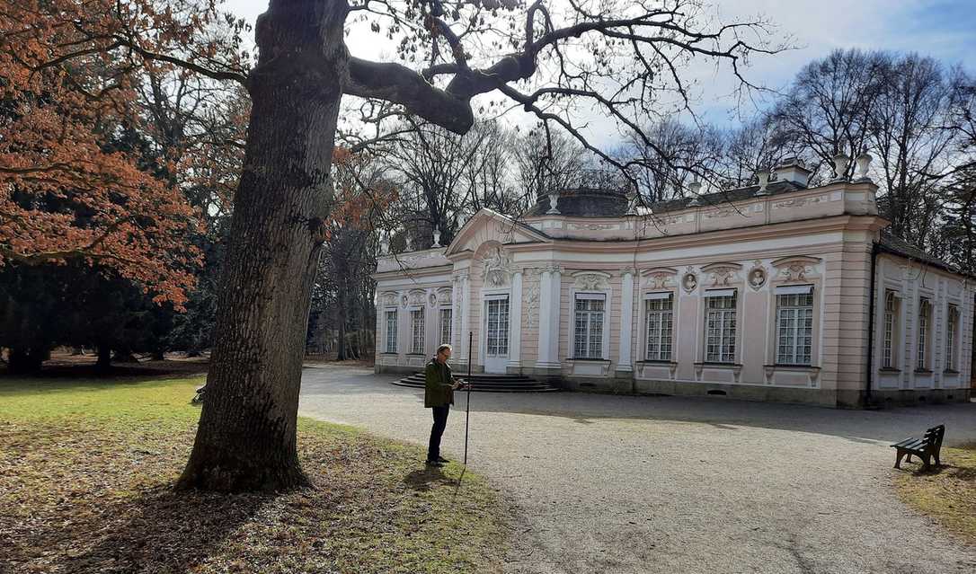 Satellitentechnik erleichtert Baum-Managern die Arbeit