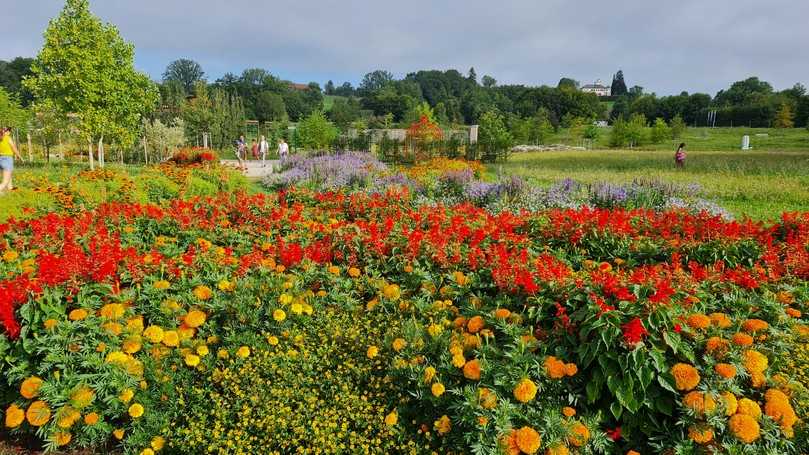 Die Landesgartenschau Wangen im Allgäu 2024 ist jetzt Geschichte. | Foto: Landesgartenschau Wangen