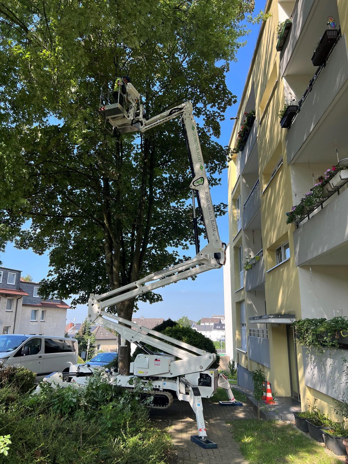 In allen Positionen der variablen Abstützung erreicht diese Maschine die Arbeitshöhe von 23 Meter und die seitliche Reichweite von 12,4 Meter. | Foto: Hoff