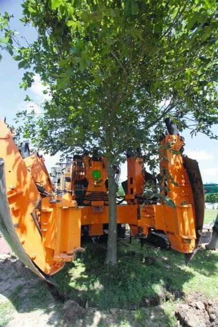 Hydraulisch unterstützt, geht das Einsetzen des Großbaumes ohne Kraftanstrengung vor sich.