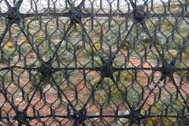 Mit einem feinen Netzgewebe werden Nebeltröpfchen gefangen.